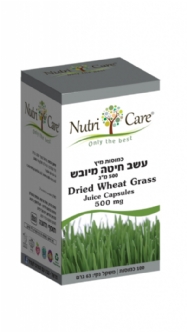 Wheat  Grass