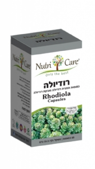 Rhodiola