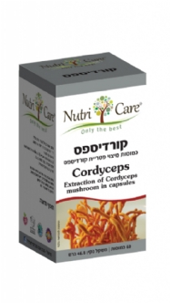 Cordyceps 