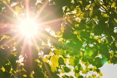 Vitamin  D  and  reducing  the  risk  of  breast  cancer 