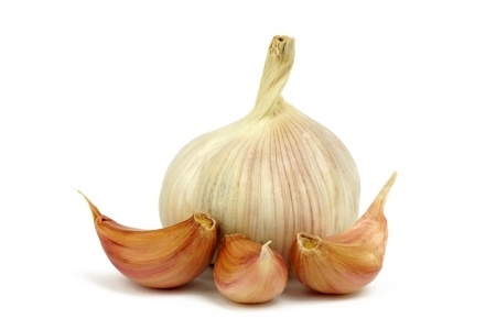 The  garlic's  efficiency  in maintaining  proper  blood  pressure 
