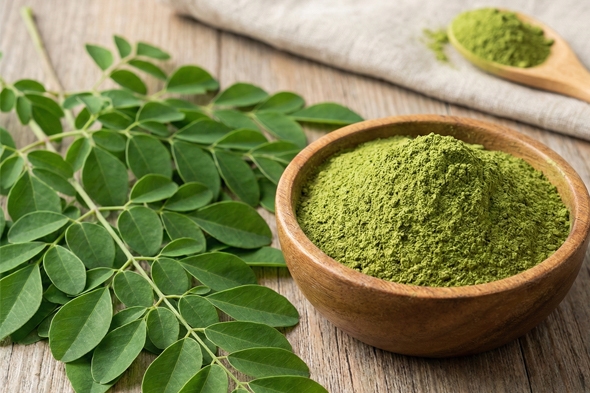 מורינגה אוליפרה: פריצת דרך בטיפול בדלקת כרונית ואיזון רמות הסוכר